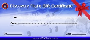 avel-discovery-flight